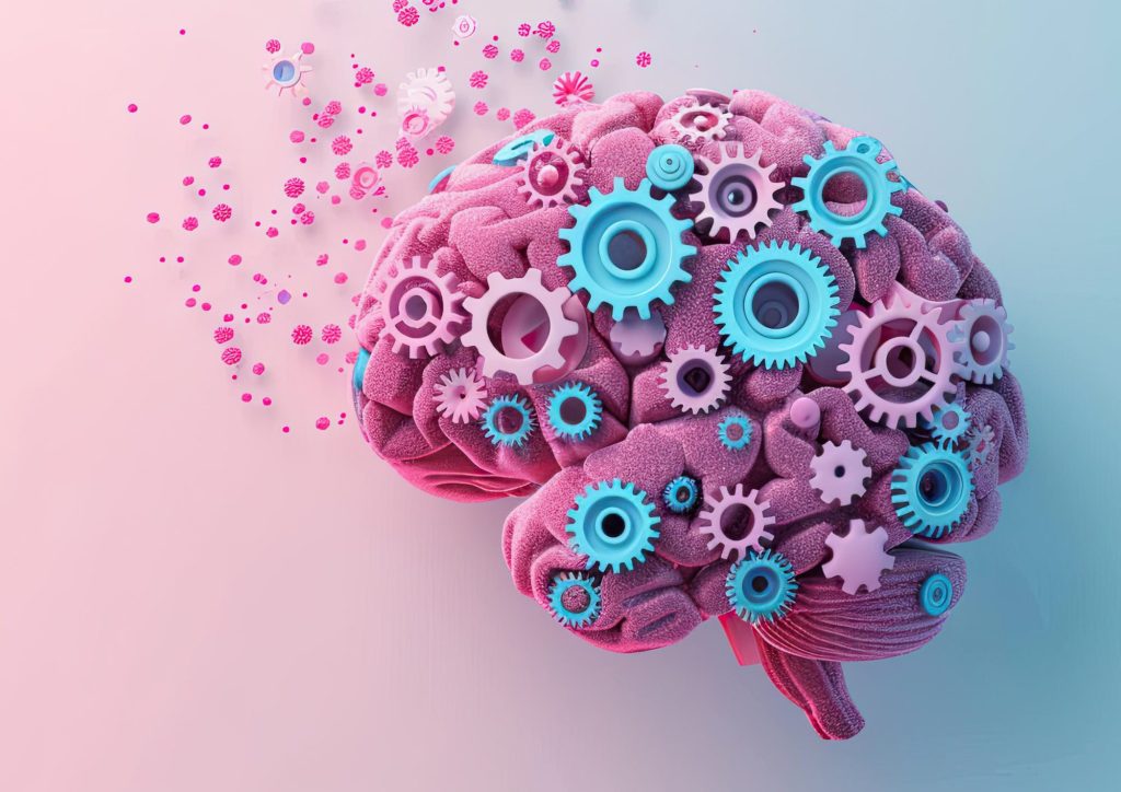 Cómo el entrenamiento con ábaco desarrolla ambos hemisferios del cerebro la base científica del método UCMAS en España