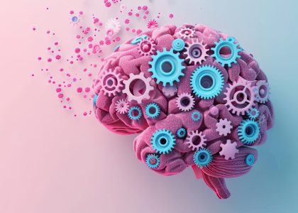 Cómo el entrenamiento con ábaco desarrolla ambos hemisferios del cerebro la base científica del método UCMAS en España